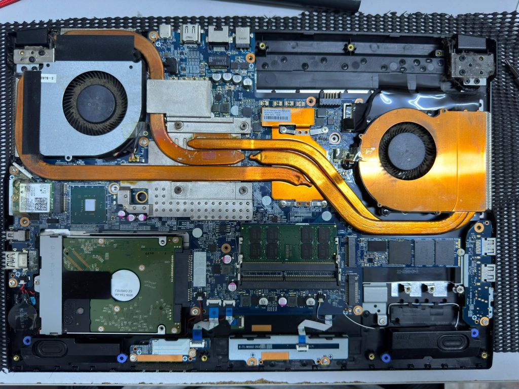 Laptop Internal Dust Cleaning/ Overheat