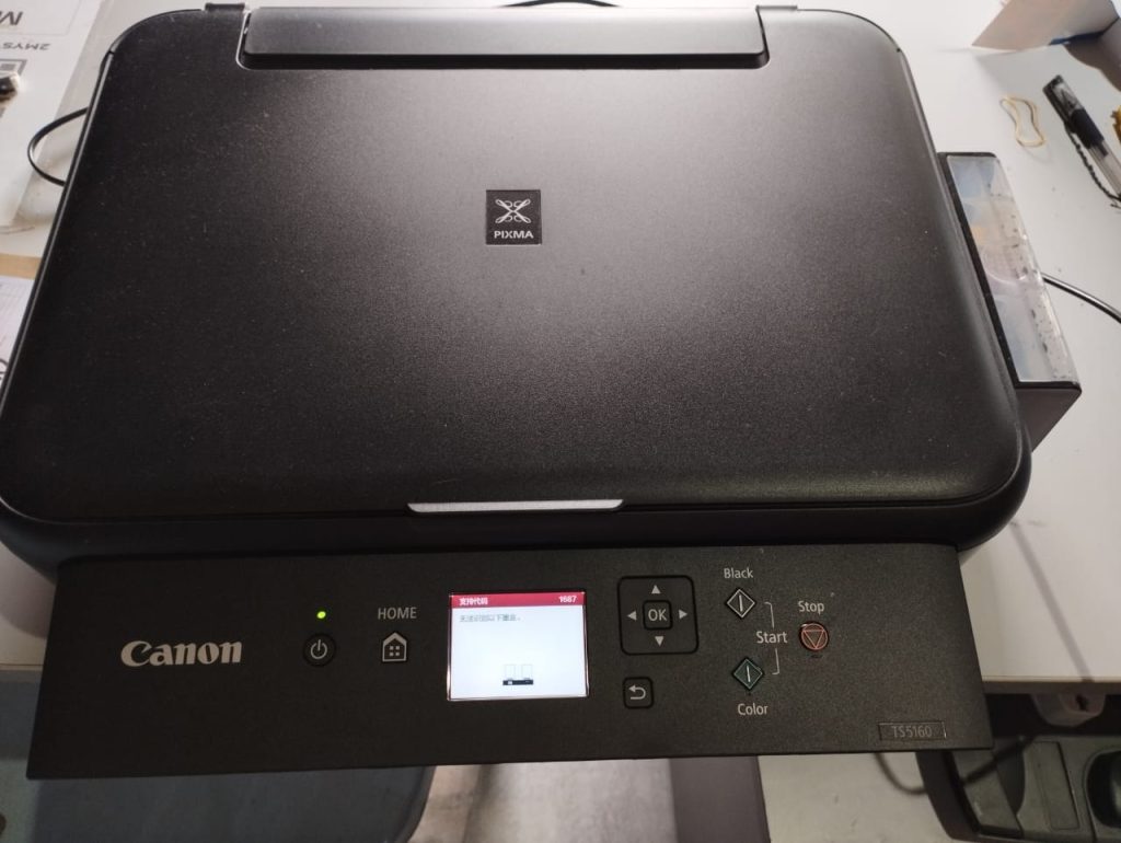 CANON TS5160，INK ISSUE