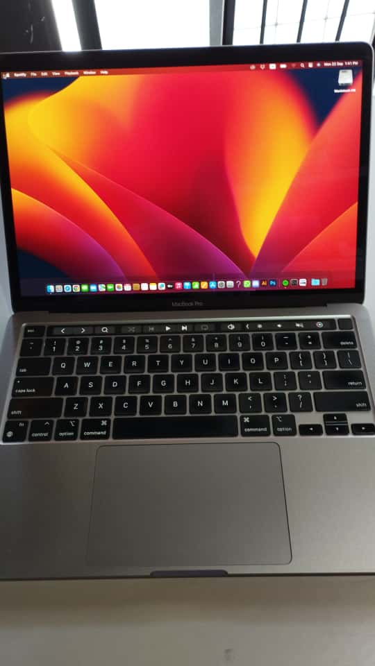 MACBOOK PRO SCREEN ISSUE